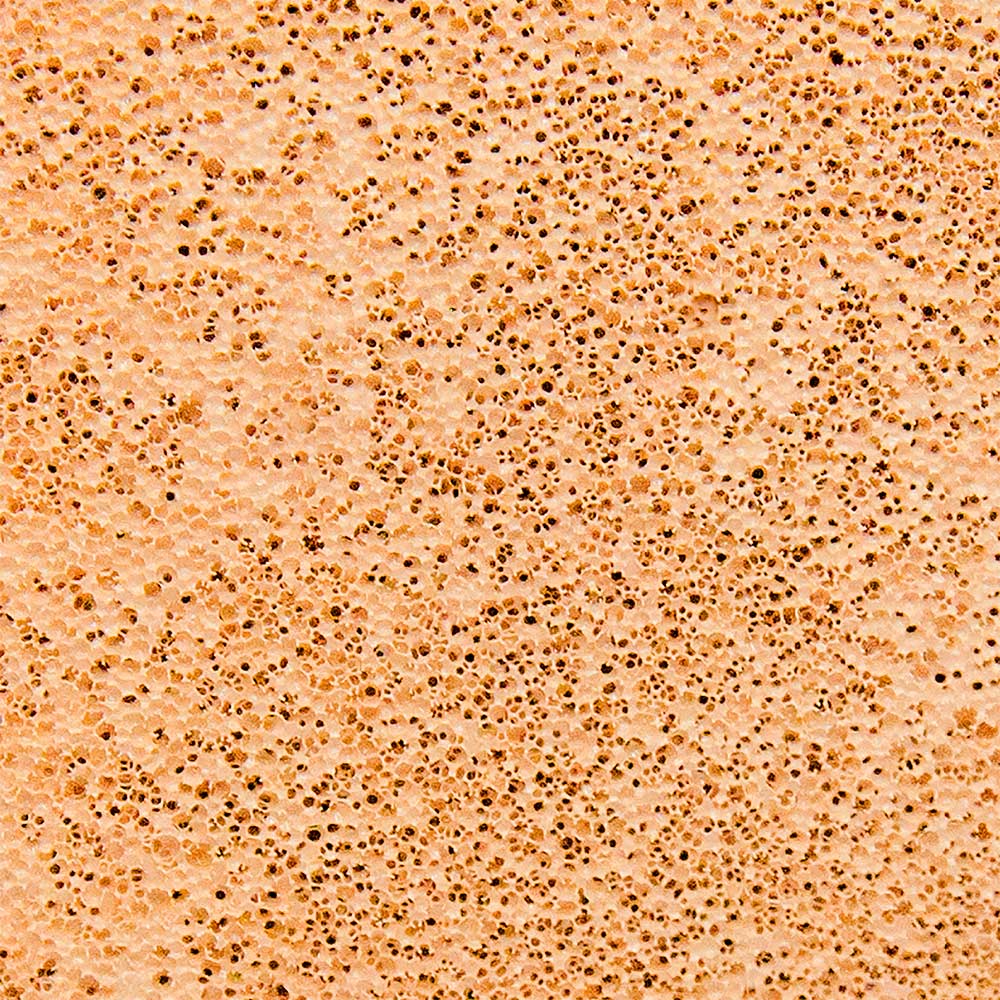 Base Cushion FPS 40 Cor 2 - 14g